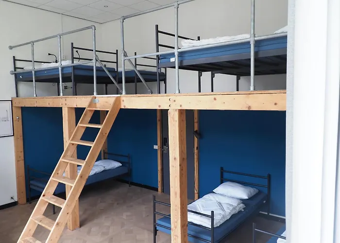 Hostel Roots